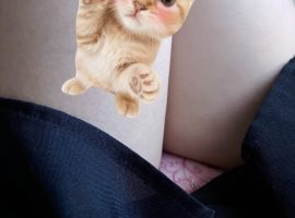 ちい【19時からだよ！】