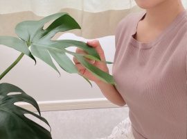 いつもの１.5倍