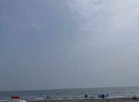 本日11時〜