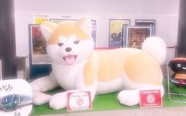 ぺちゃん……？？？