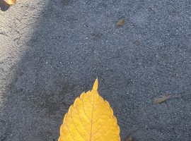 ちょっと嫌な昼下がり