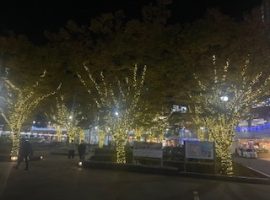 お久しぶりーーの、、、、