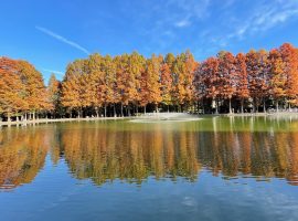 イキたい人〜？？