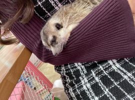 ぬくぬくしながら…