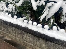 2度目の一生のお願い