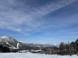 生まれた地は。