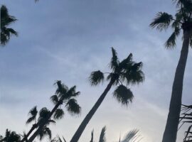 おはようございます