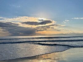 おはようございます