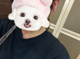 出勤！