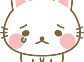 ひかるです（本日の出勤について）