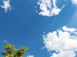 12時から