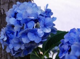 15時まで