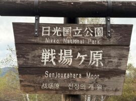 健康に気を遣って。